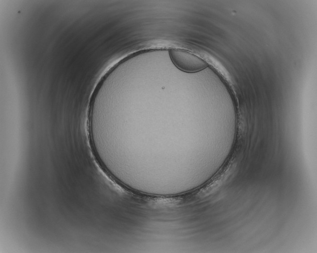 X0000111480847200908041120