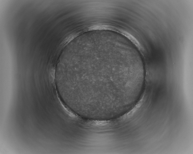 X0000111480849200908041120