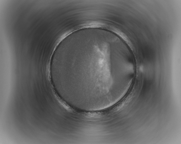 X0000111480850200908041120