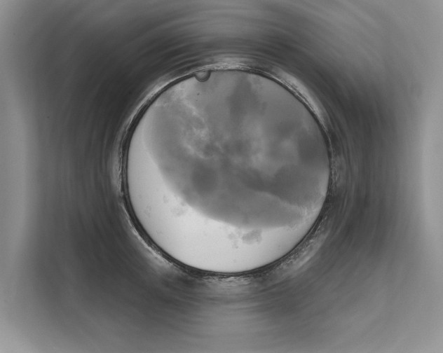 X0000111480851200908041120