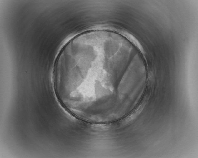 X0000111480855200908041121