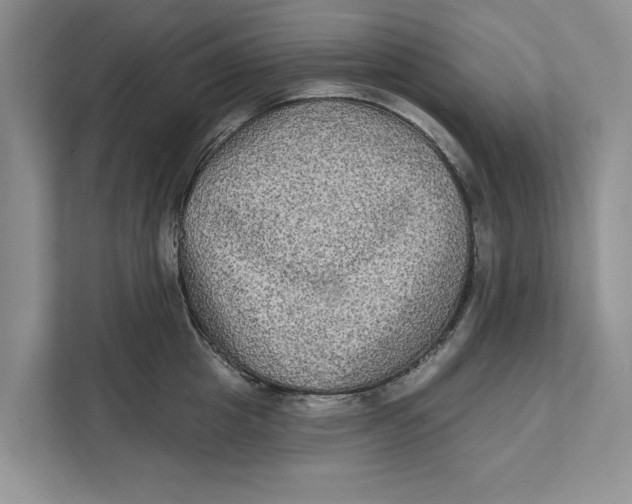 X0000111480857200908041121