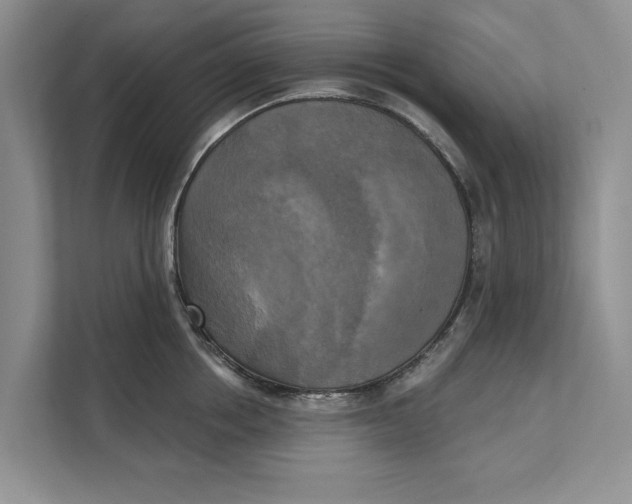 X0000111480858200908041121