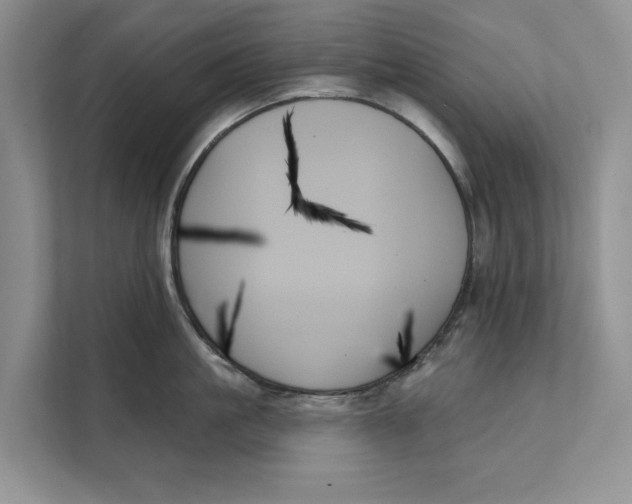 X0000111480861200908041121