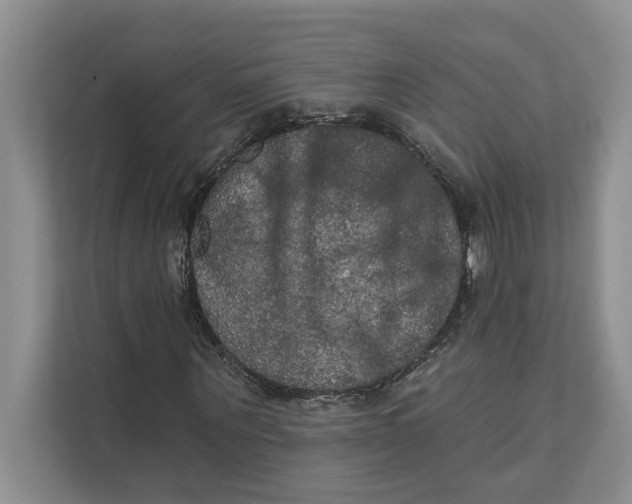 X0000111480867200908041120