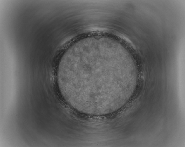 X0000111480869200908041120