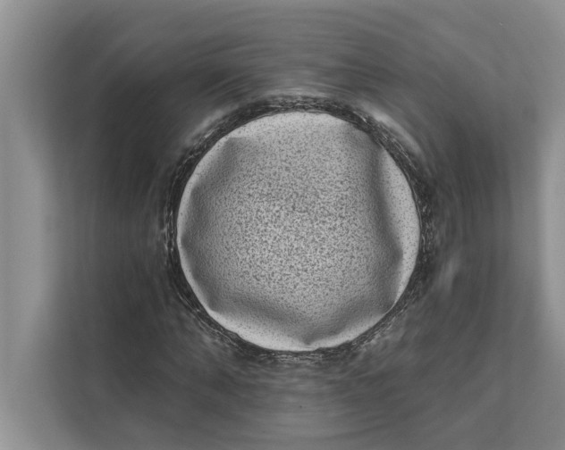 X0000111480870200908041120
