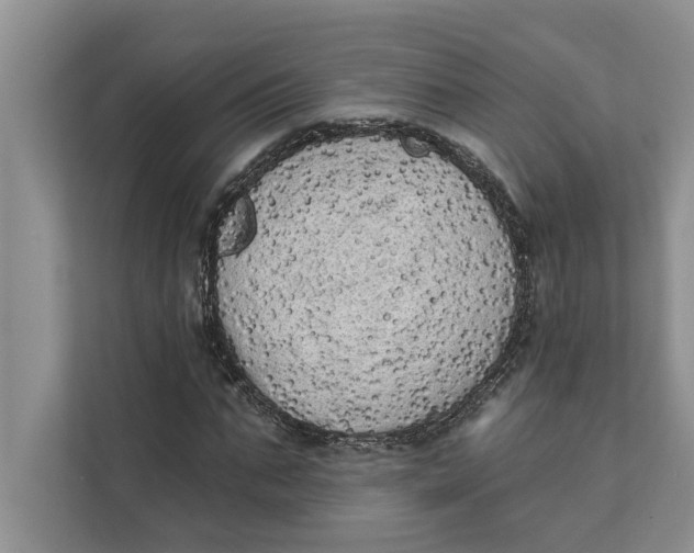 X0000111480871200908041120