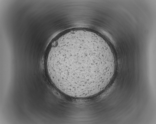 X0000111480875200908041120