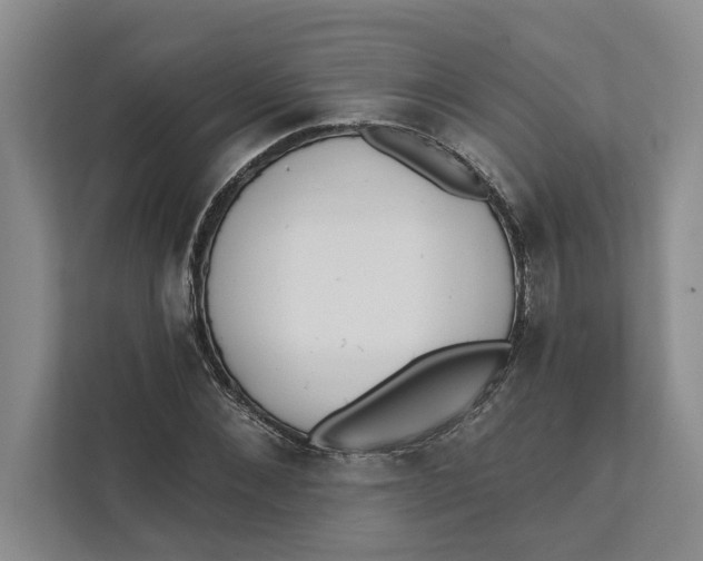 X0000111480876200908041120