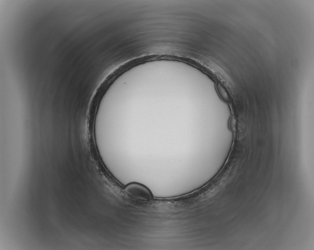 X0000111480880200908041120