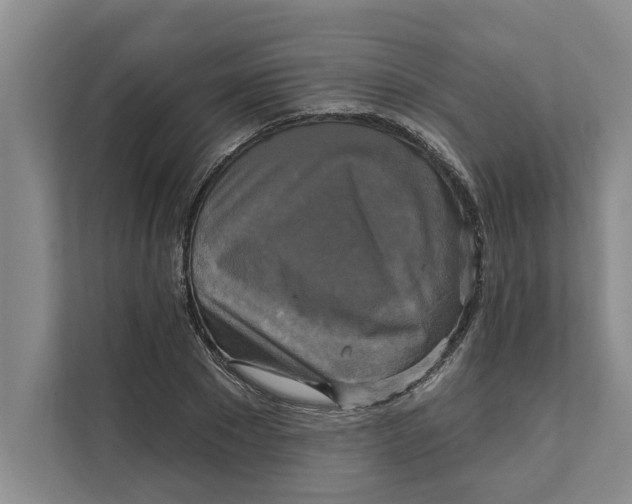 X0000111480881200908041120