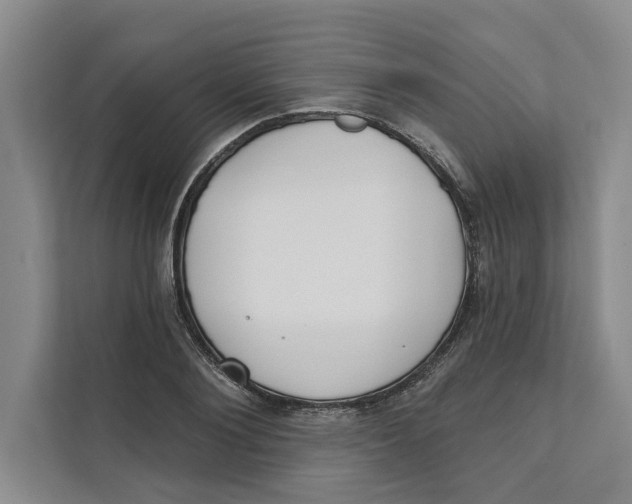 X0000111480884200908041120
