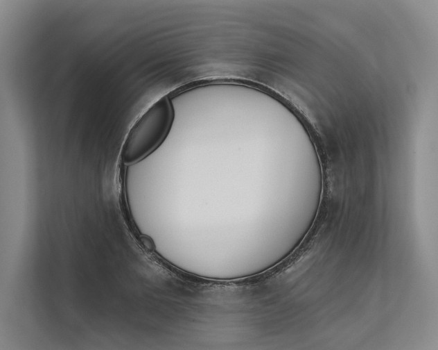 X0000111480885200908041120