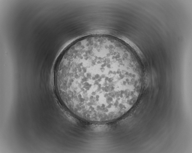 X0000111480886200908041120