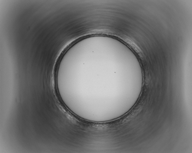 X0000111480888200908041120