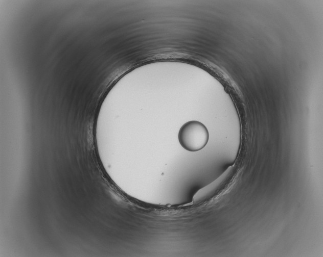 X0000111480889200908041120