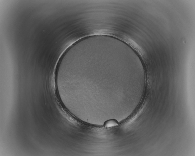X0000111480892200908041120