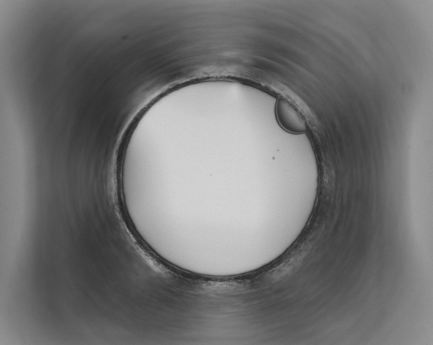 X0000111480894200908041120