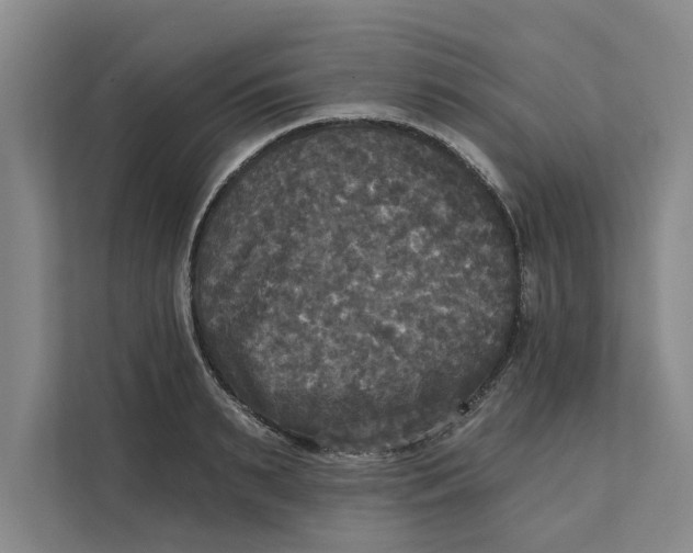 X0000111480895200908041120