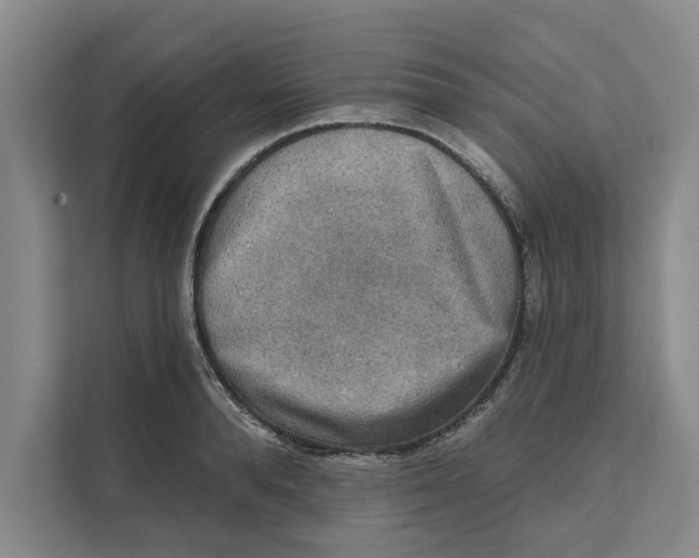 X0000111480896200908041120