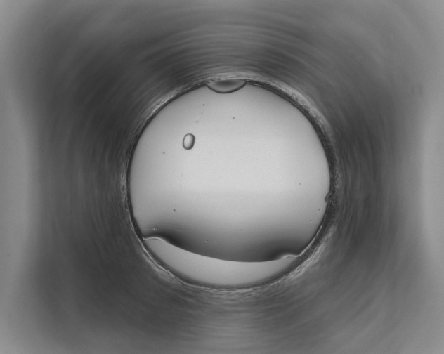 X0000111480897200908041120