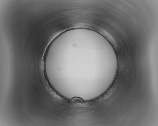 X0000111480900200908041120