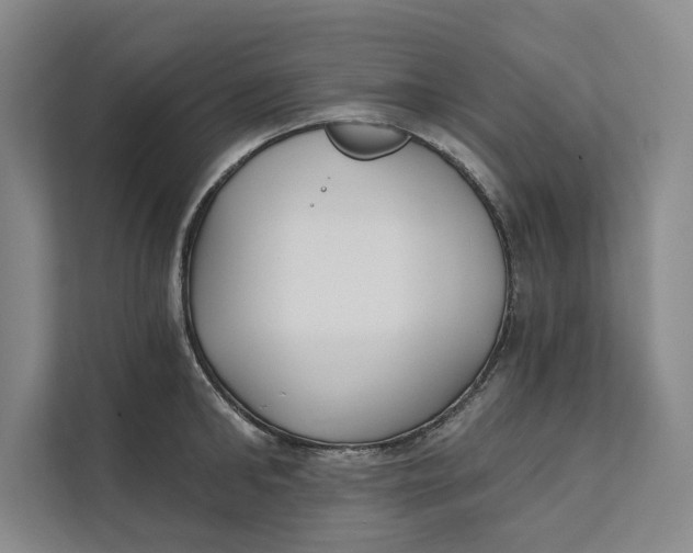 X0000111480902200908041120