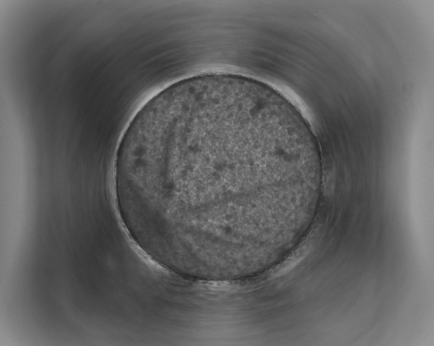 X0000111480903200908041119