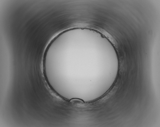X0000111480904200908041119