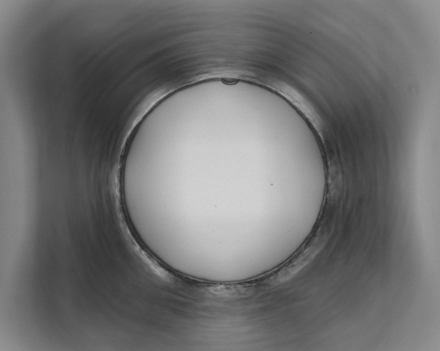 X0000111480906200908041119