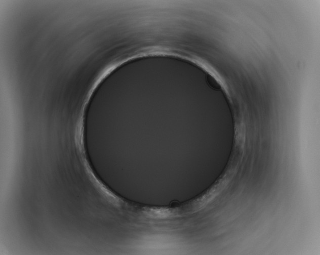 X0000111480911200908041119