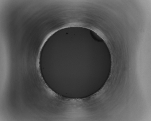 X0000111480912200908041119