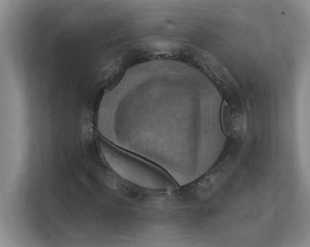 X0000111480916200908041119