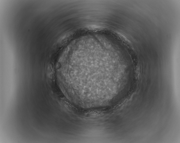 X0000111480917200908041119