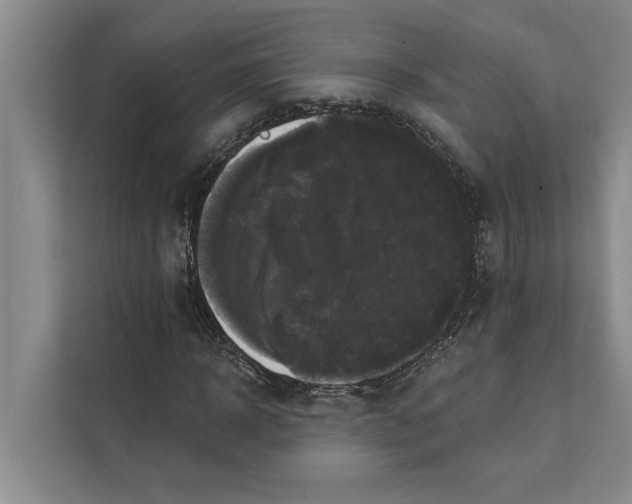 X0000111480918200908041119