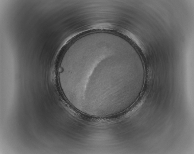 X0000111480923200908041119