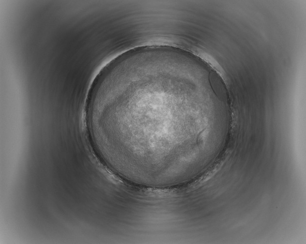 X0000111480928200908041119