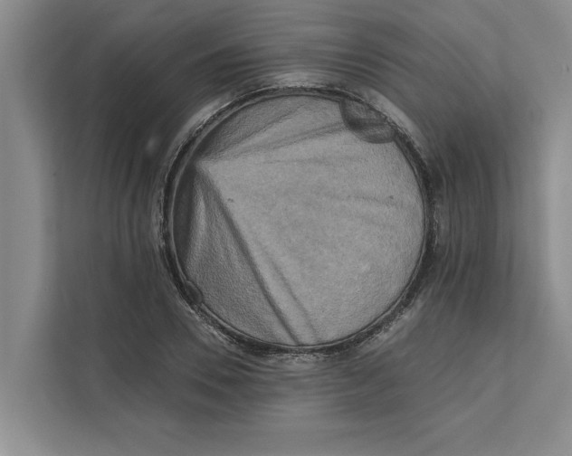 X0000111480930200908041119