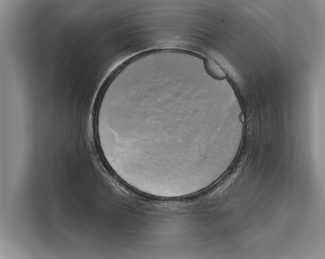 X0000111480932200908041119