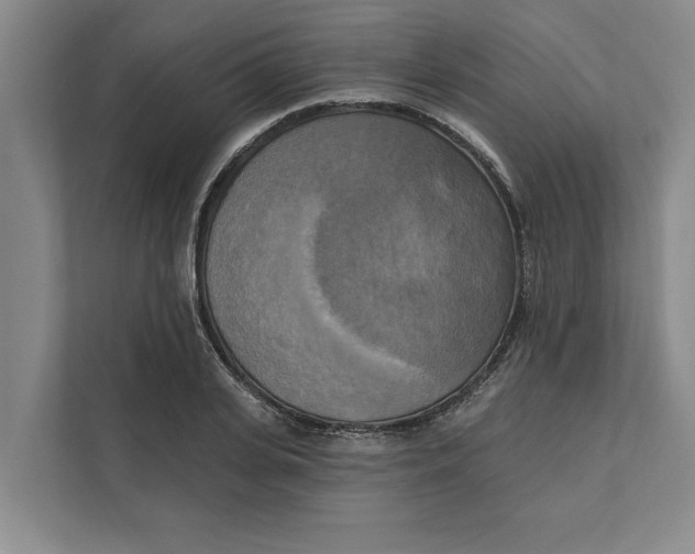 X0000111480935200908041119