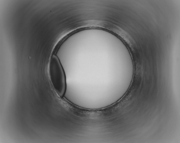 X0000111480936200908041119