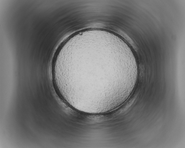 X0000111480939200908041119