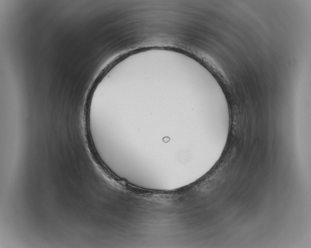 X0000111480942200908041119