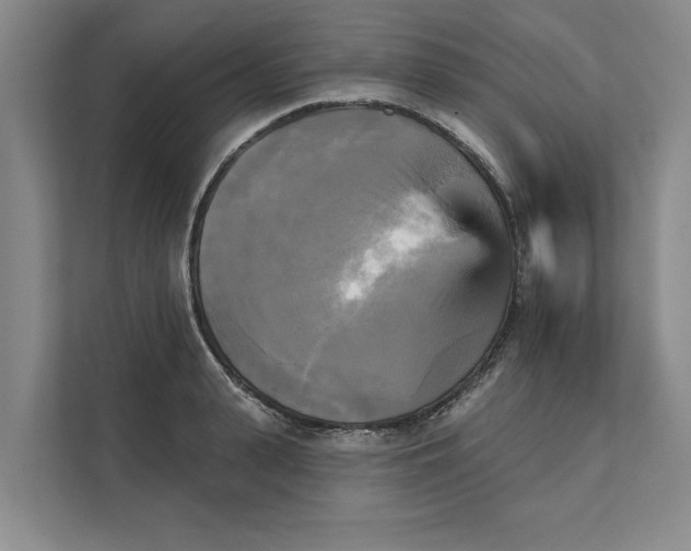 X0000111480943200908041119