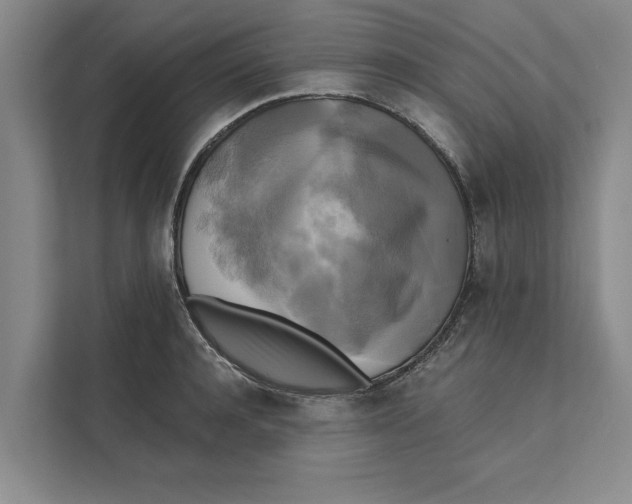 X0000111480944200908041119