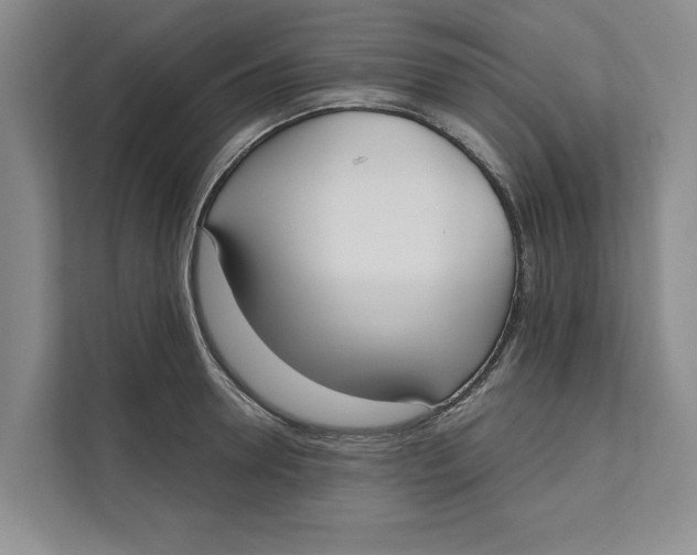 X0000111480946200908041119