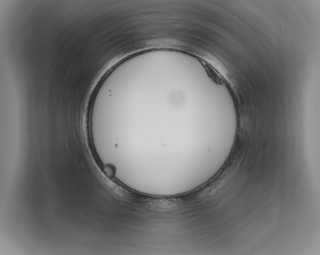 X0000111480947200908041119