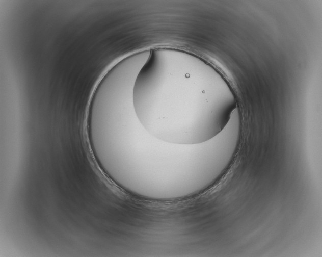 X0000111480948200908041119