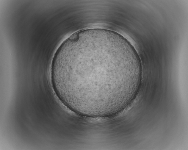 X0000111480949200908041119